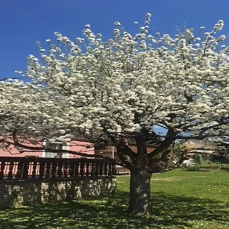 Apartmán Modern With Garden Near The Petzen Area In Carinthia *
