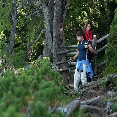 Modern With Garden Near The Petzen Area In Carinthia Apartmán